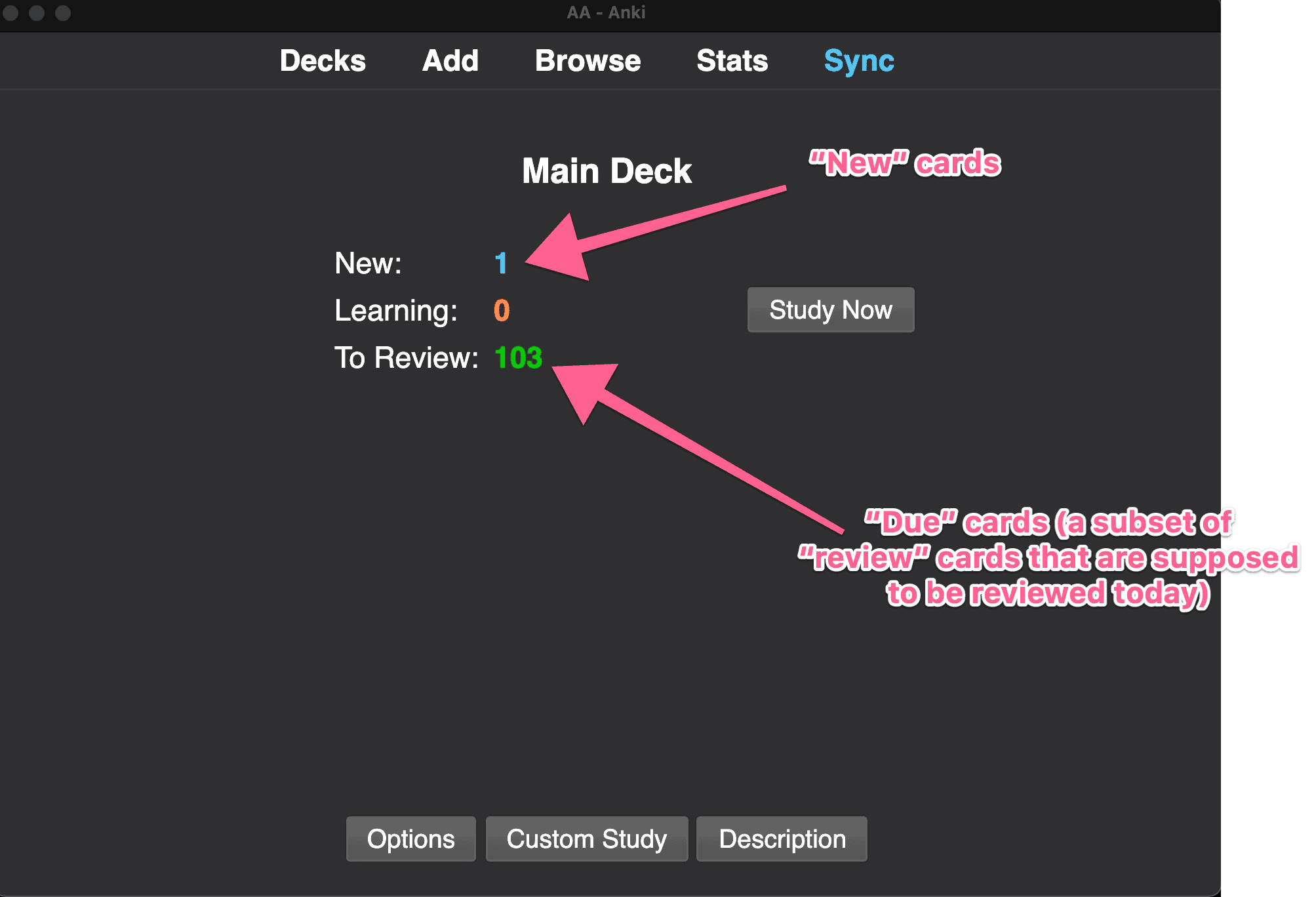 New vs Review vs Due Anki Cards Explainer