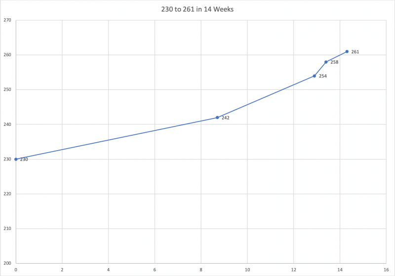 Step 1 250-270 - 230 to 261 in 14 Weeks